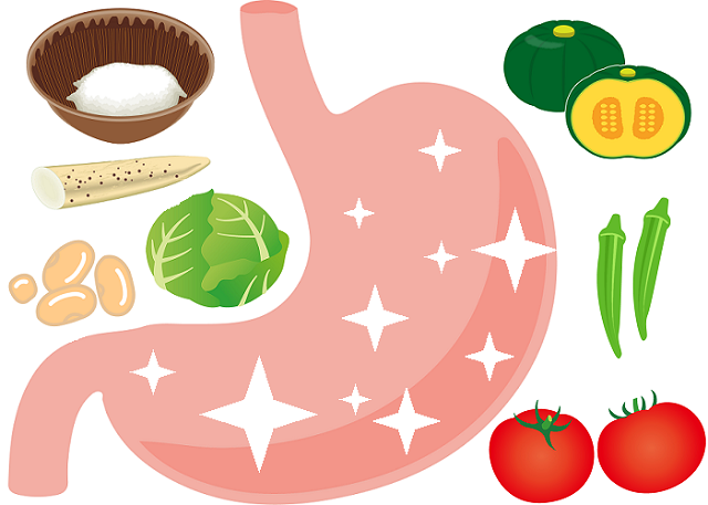 胃の粘膜を守ってくれる食べ物イメージ