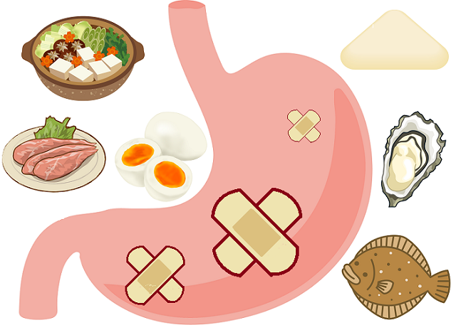 胃の傷の治癒を助けてくれる食べ物イメージ